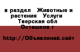  в раздел : Животные и растения » Услуги . Тверская обл.,Осташков г.